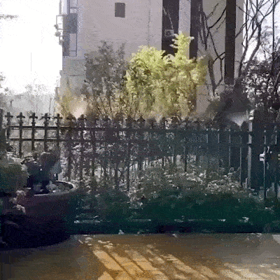 System zraszający do podlewania roślin | MISTIKO