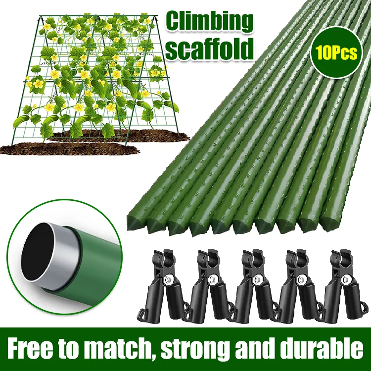🌱 Rama do wspinania się po roślinach、pogrubiona stalowa rura podporowa do roślin、rama do wspinania się po roślinach pnących