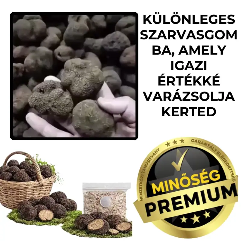 Garden Truffle Mycelium – TrufaGrow™