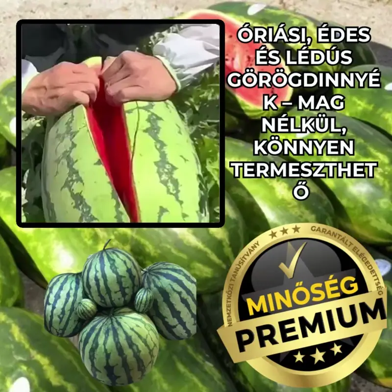 MegaMelon™ Giant Seedless Watermelon Seeds