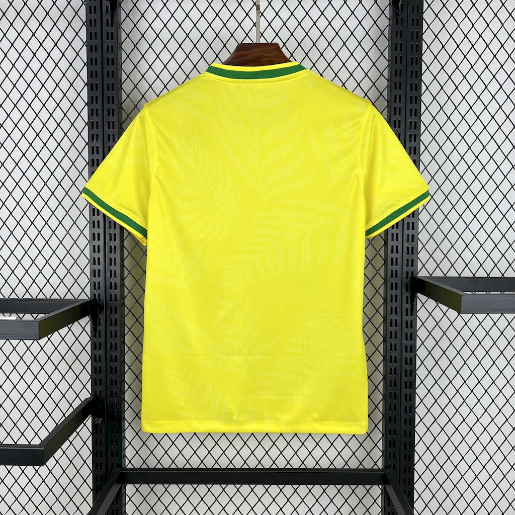 Brazil 2025 Special Edition Jersey