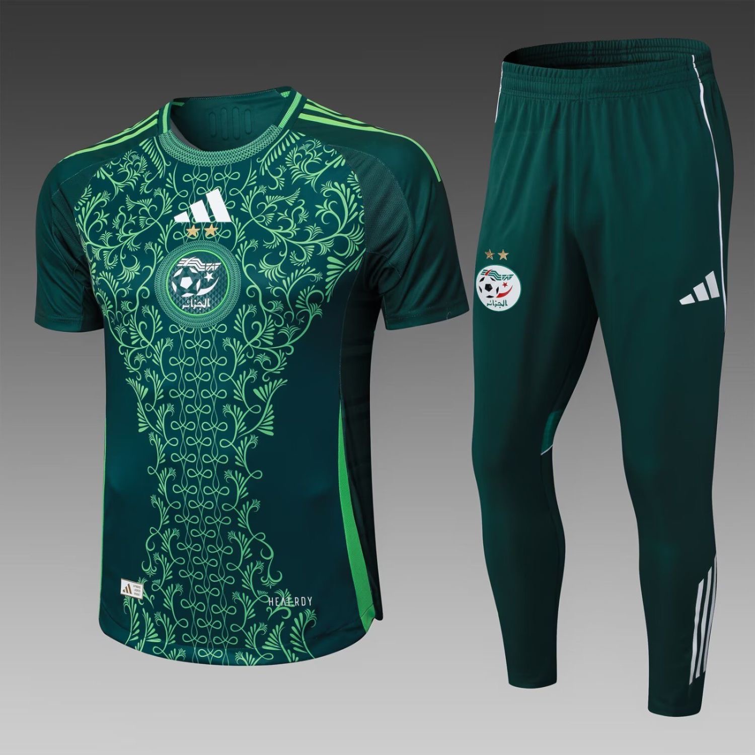 Algeria 25/26 Training Kit【Top + Shorts】