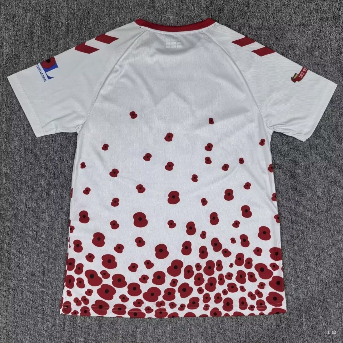 【S~4XL】Sunderland 24/25 Special Edition Poppy Jersey