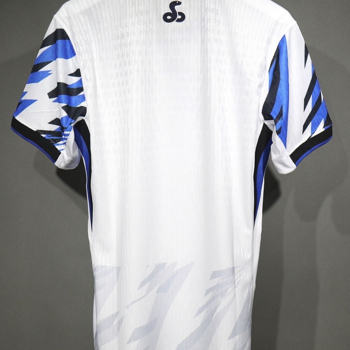 【S~4XL】Inter Milan 25/26 Special Edition Jersey