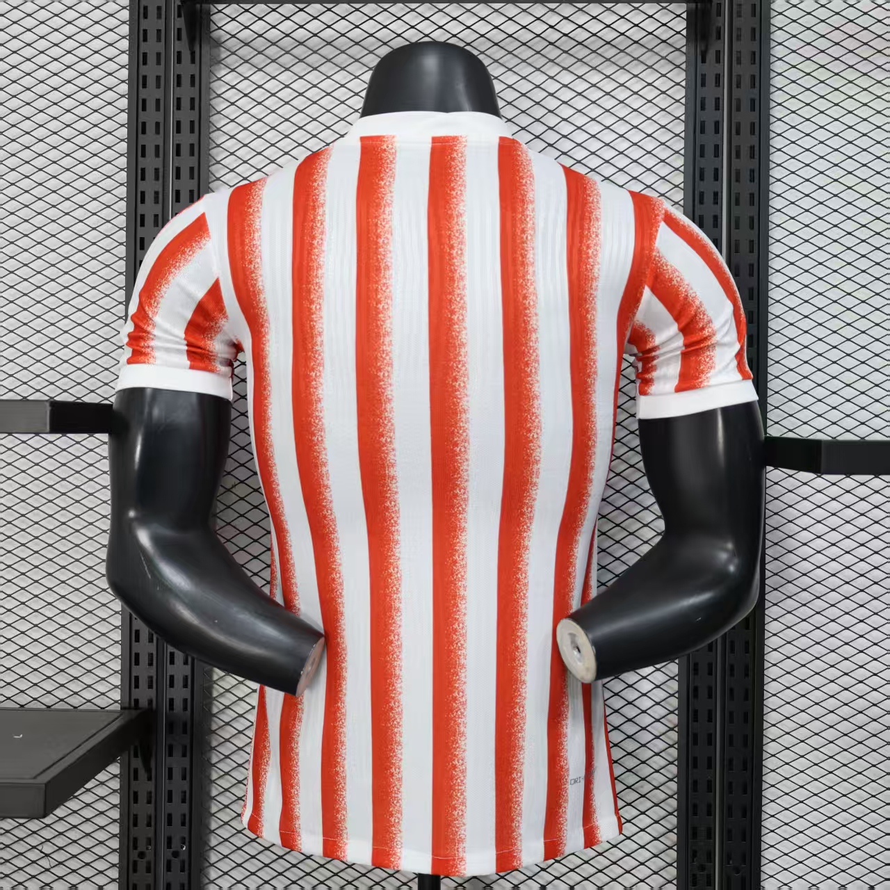 Player Edition - Inter Milan 25/26 Special Edition Football Jersey