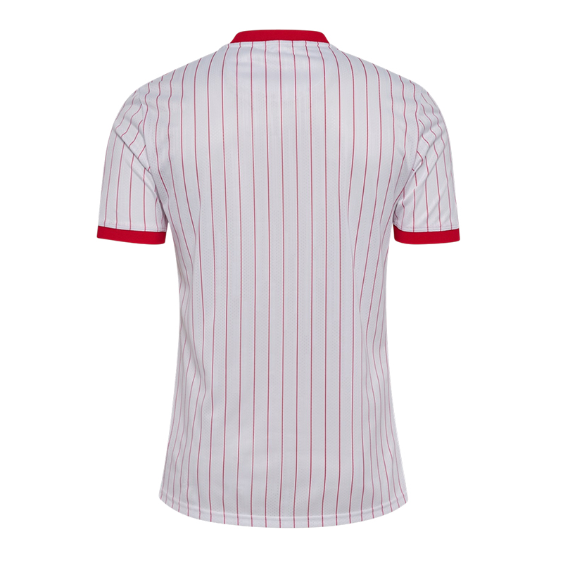 【S-4XL】Denmark 2026 World Cup Away Jersey