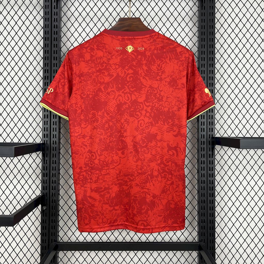 Spain 2024 special edition jersey