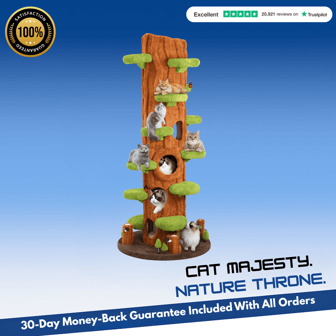 🏆 #1 Luxury Solid Wood Cat Tree