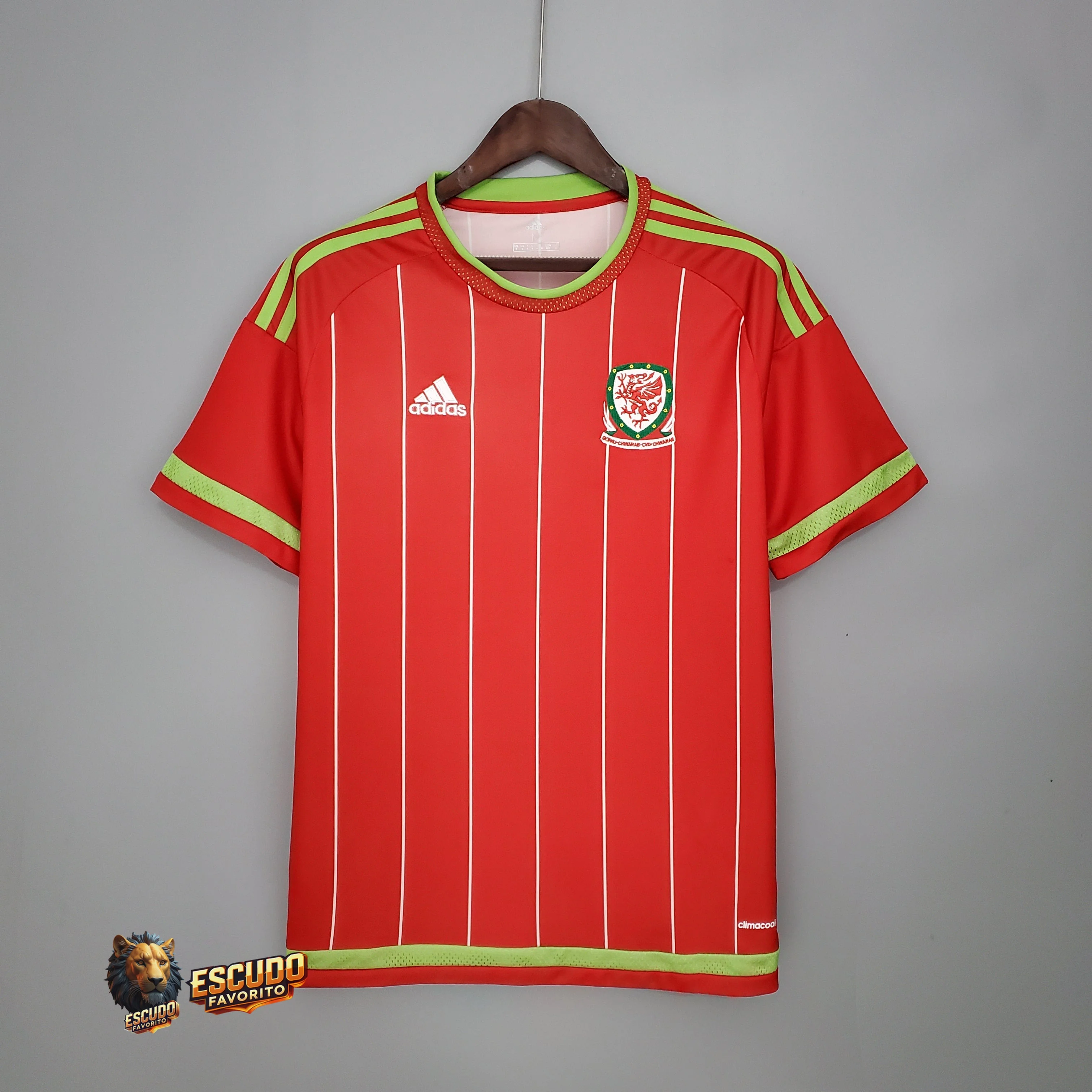 PAÍS DE GALES I 2015 HOMBRE (RETRO)