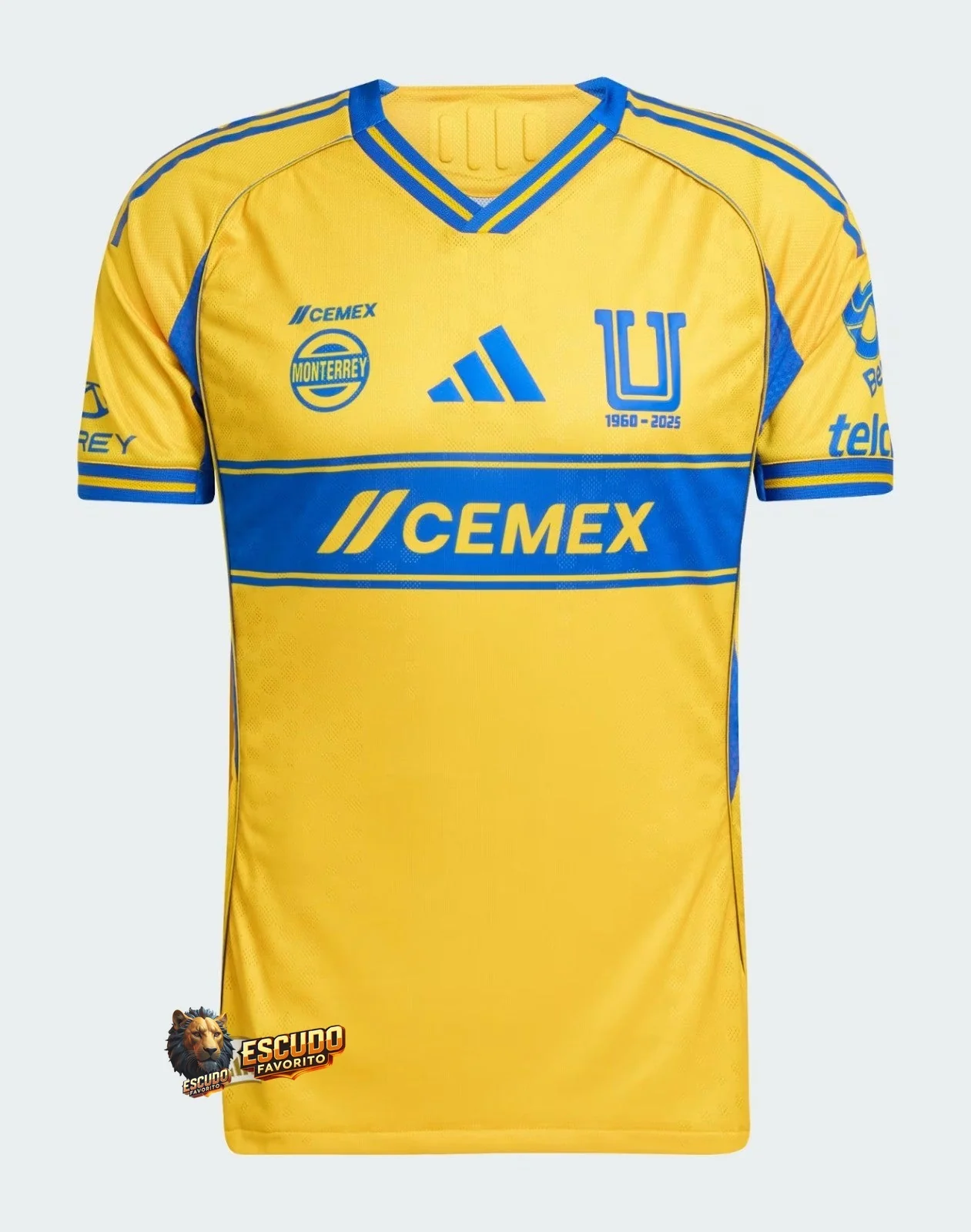 TIGRES I 25/26 HOMBRE