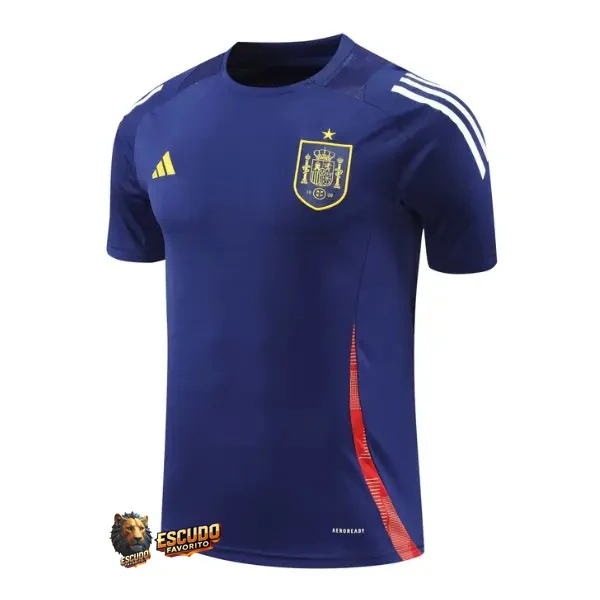 CAMISETA ESPAÑA EDICIÓN ESPECIAL I 24/25 HOMBRE