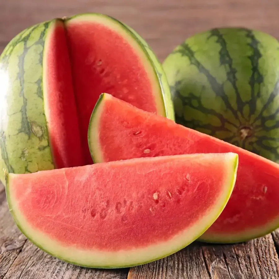 🍉WASSERMELONENKERNE FÜR FAULE